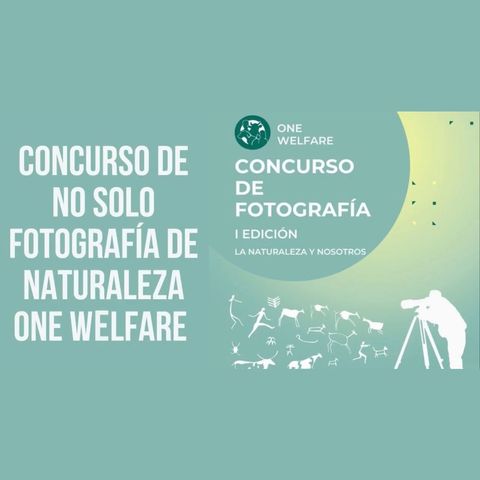 Concurso de NO SOLO fotografía de naturaleza “One Welfare”