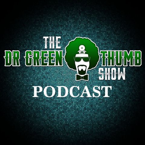#649 | Discussing Music w Stray Cats Legendary Drummer Slim Jim Phantom - The Dr. Greenthumb Show
