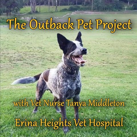 Outback Pet Project - Tanya Middleton