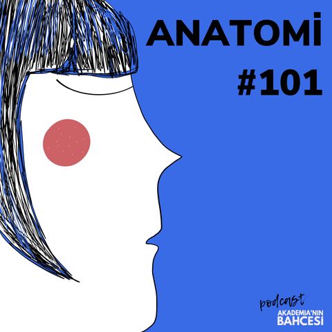 Anatomi 101/ Bölüm 3