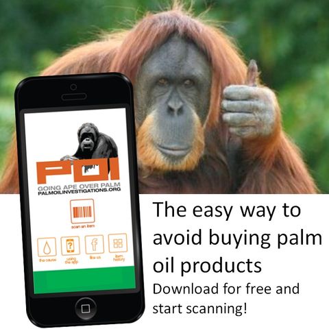 Youth Radio - Palm Oil App Lorinda Jane