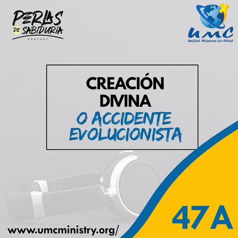 47A Creación Divina O Accidente Evolucionista