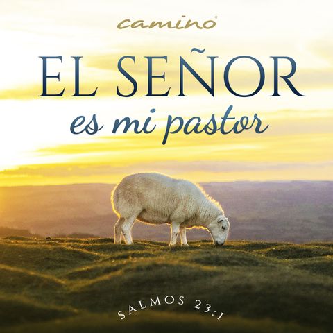 Oración 1 de julio (El Señor es mi pastor)