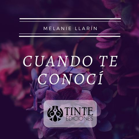 Cuando te conocí - Melanie Llarín