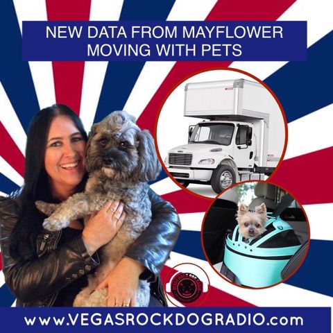 New Data From Mayflower ~ Moving With Pets