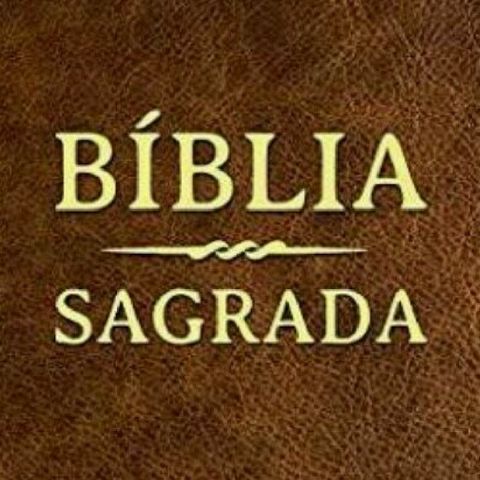 "Pensamentos Sobre Sabedoria" (Eclesiastes 9:13-16)