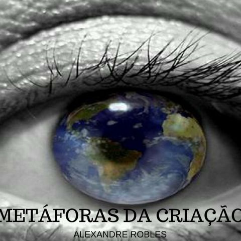 METÁFORAS DA CRIAÇÃO 2 - PROCESSO