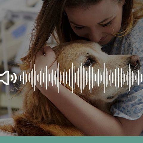 Cos’è la pet therapy – Ascolta il podcast!