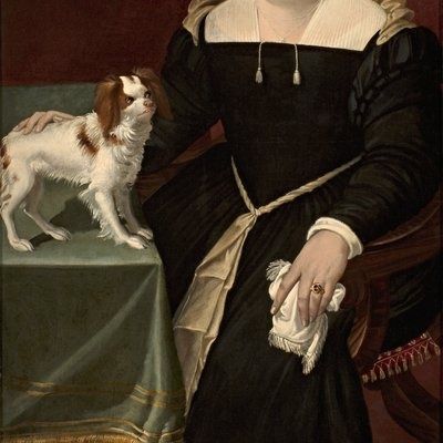 humanización de mascotas e individualismo