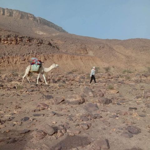 Wüstenreise Marokko - Akabar Sahara Treks - einzigartig, professionell, liebevoll