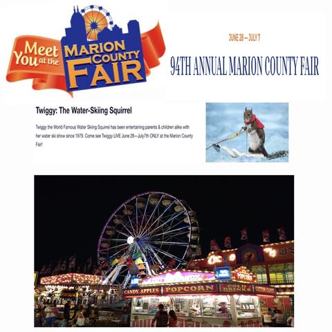 Indiana -  Marion County Fair 2024