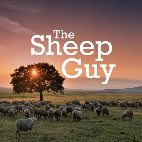 The Sheep Guy