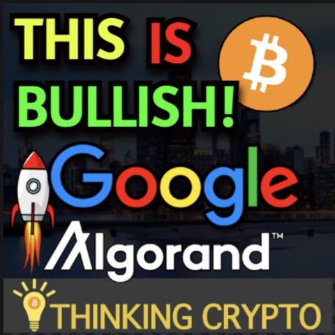 Google Lifts Crypto Ad Ban! - CityCoins & Miami Borderless Capital $25M Fund Algorand Circle USDC