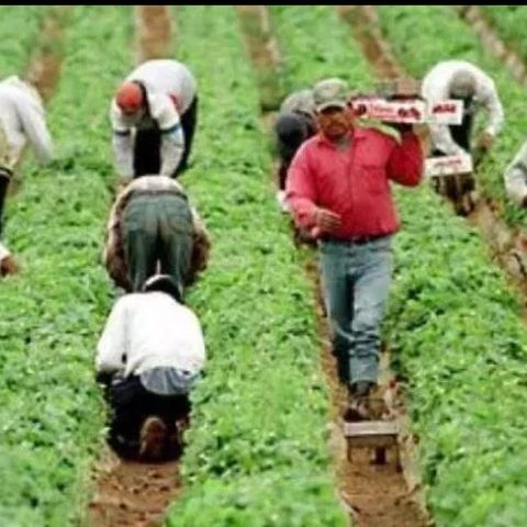Reclama México a EU violaciones a derechos laborales de mexicanos