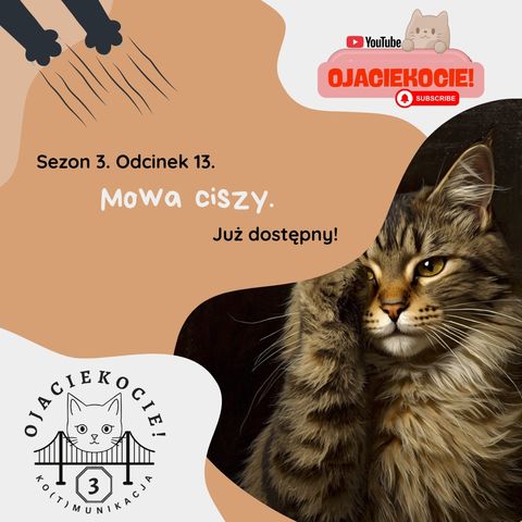 S3E13 - Mowa ciszy.