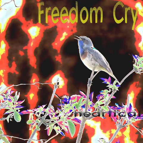heartical - Freedom Cry