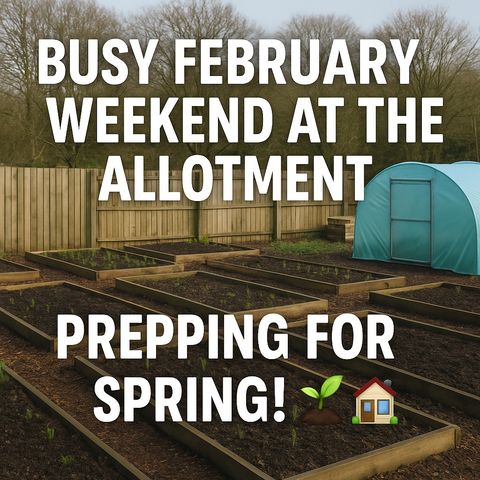 🎧 🌱 Busy February Weekend at the Allotment: Prepping for Spring! 🏡