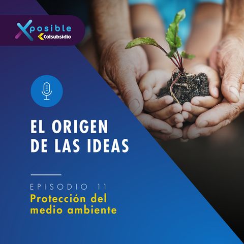 El origen de las ideas - Preservar el medio ambiente
