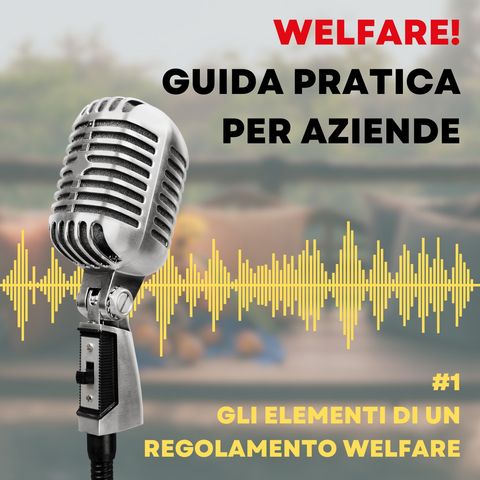 Puntata #1: gli elementi di un regolamento welfare
