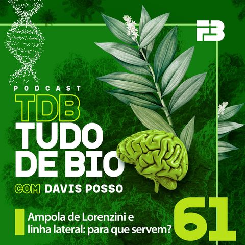 TDB Tudo de Bio 061 - Ampola de Lorenzini e linha lateral: para que servem?