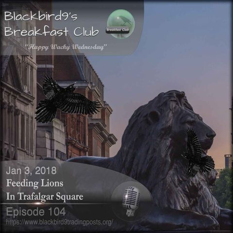 Feeding Lions In Trafalgar Square - Blackbird9 Podcast