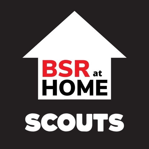 BSR@Home  Scouts