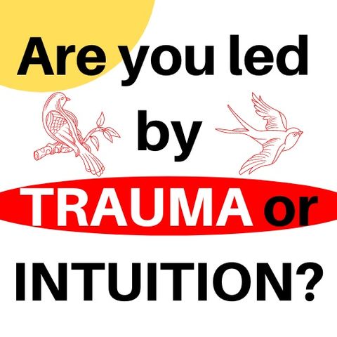 Intuition vs Trauma
