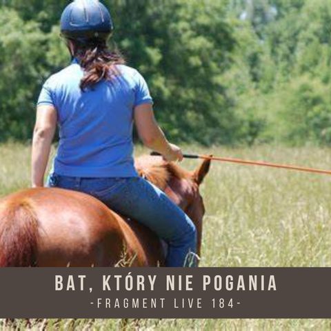 Bat, który nie pogania - fragment live 184