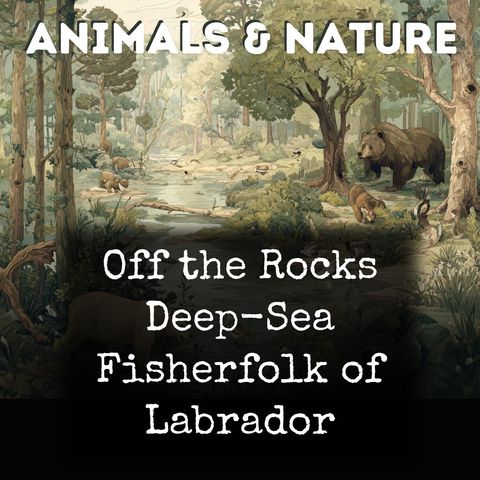 013 - Chapter 12 Why Do Animals Become Extinct