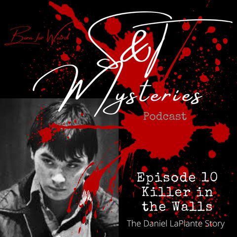 Episode 10 Killer in the Walls