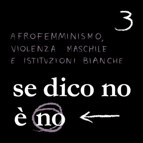 Ep.3 Parte 2 - Afrofemminismo, violenza maschile e istituzioni bianche