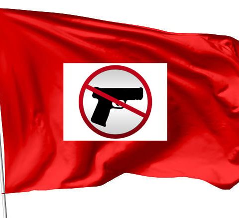 Red Flags About Red Flag Laws