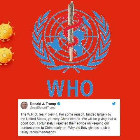 Trump Asks WHO is Pulling The Strings - President Trump Blasts The World Health Organization in Tweet