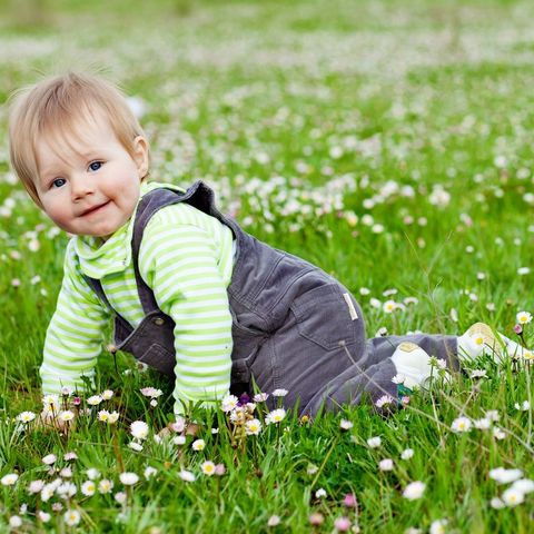 Quel mazzolin di fiori - Io, mio figlio e la primavera