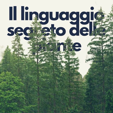 192 - Echi naturali: Il linguaggio segreto delle piante | Francesca Mor