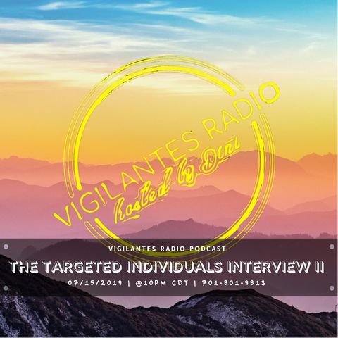 The Targeted Individuals Interview II.