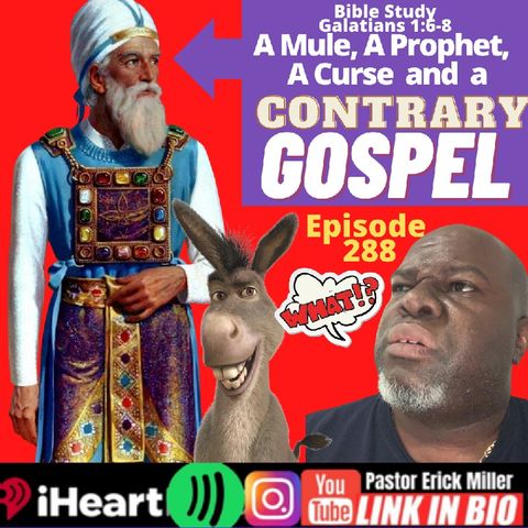Episode 288 - So a Mule, A Prophet and Paul...