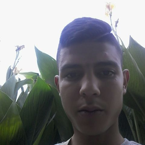 Don