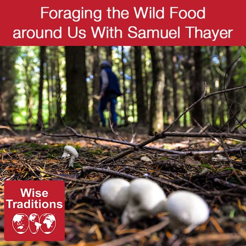 285: Foraging the Wild Food around Us