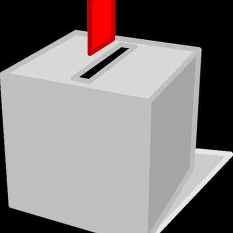 Il voto