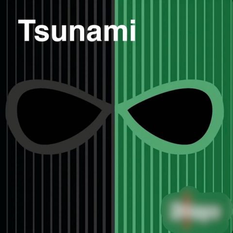 Tsunami Taler Ud: "SEND PENGE!"