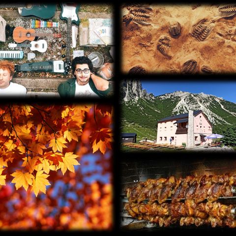 I colori e i gusti tipici dell’autunno tra passeggiate, eventi gastronomici e curiosità