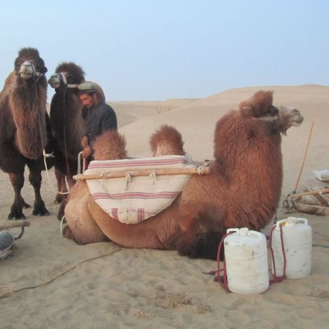 Cina, Xinjiang - Carpe nel deserto I Trekking nel Mondo #05