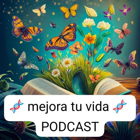Aprender a decir "lo siento"
