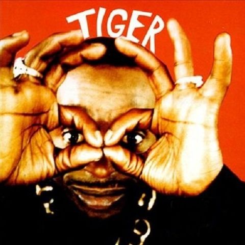 tiger