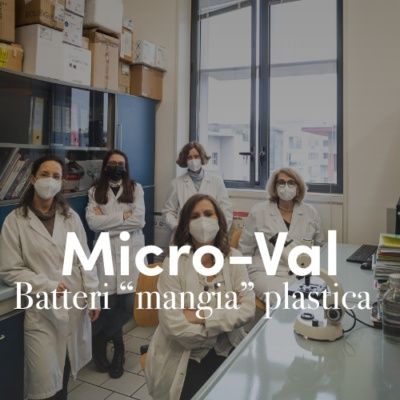 Micro-Val: i batteri "mangia plastica" per riciclare i rifiuti organici