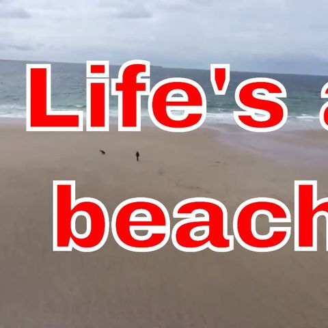 Born again beach - a mildly surprising happenstance