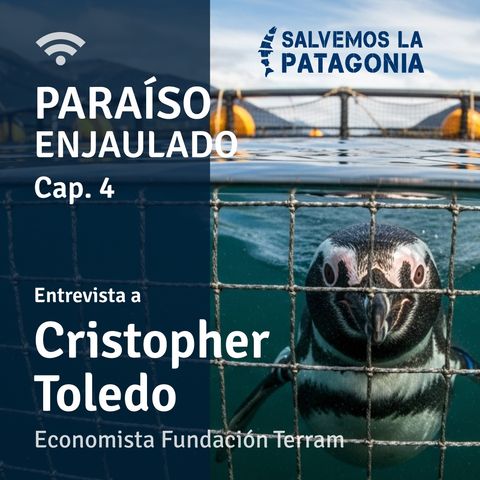 Capítulo 4: Producción salmonera en áreas protegidas. Entrevista a Cristopher Toledo