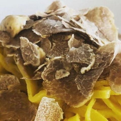 Asta del Tartufo, Pres. Roberto Bodrito: «Quest'anno raggiunti prezzi da record»