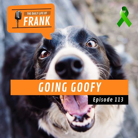 Episode 113 - Going Goofy
